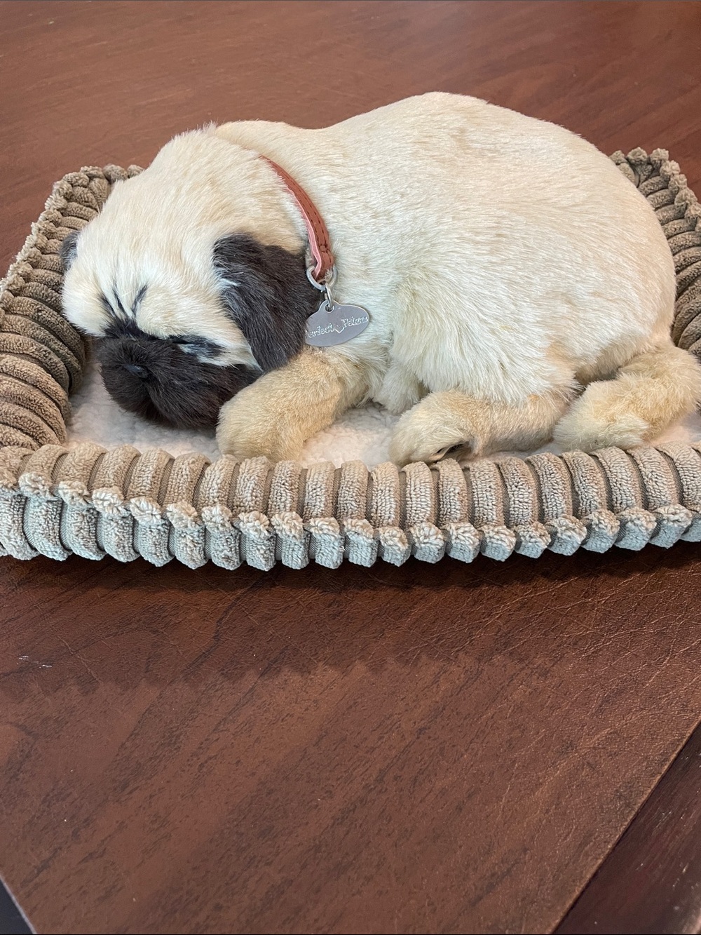 Perfect ❤️ Petzzz PUG with Dog Bed